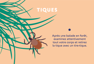 Tiques MSP Caducée L'Etrat